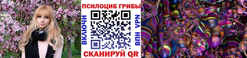 Галлюциногенные грибы Cubensis  Купить где  Гороховец 